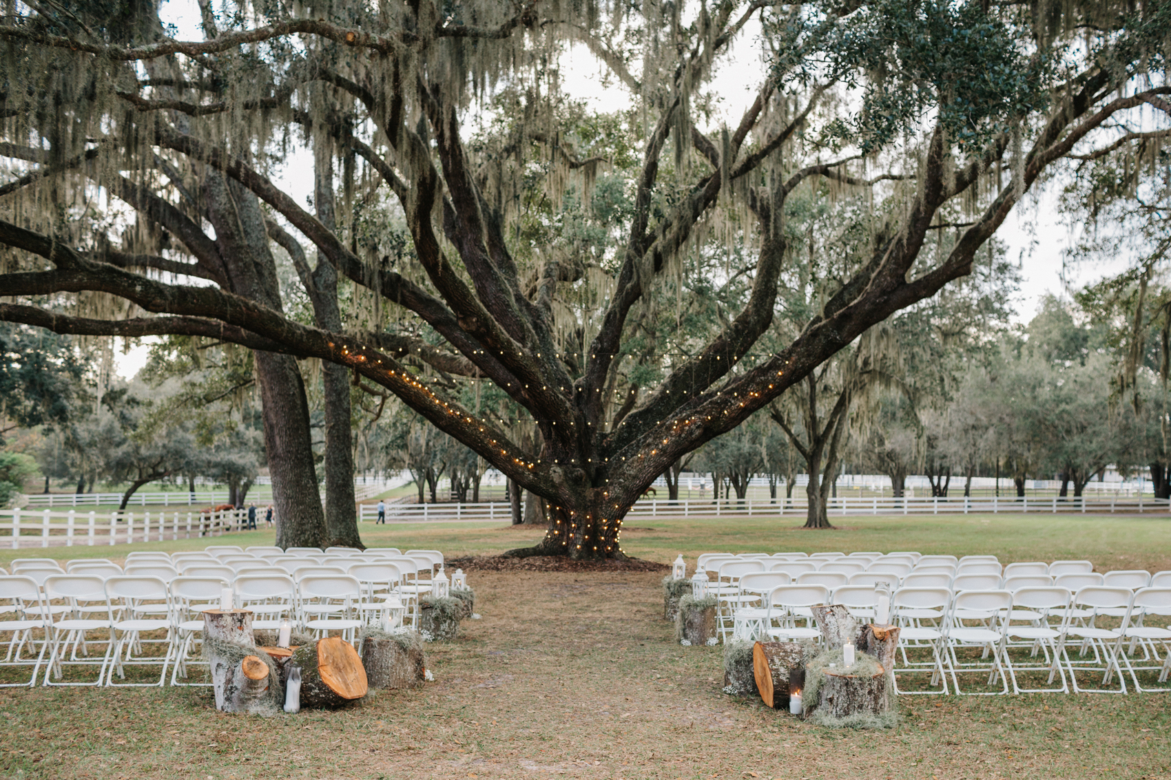 rustic outdoor ceremony under an oak tree at the tampa florida barn venue the lange farm