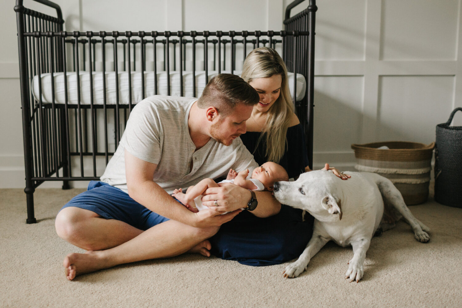 candid newborn photos with the dog in palm harbor