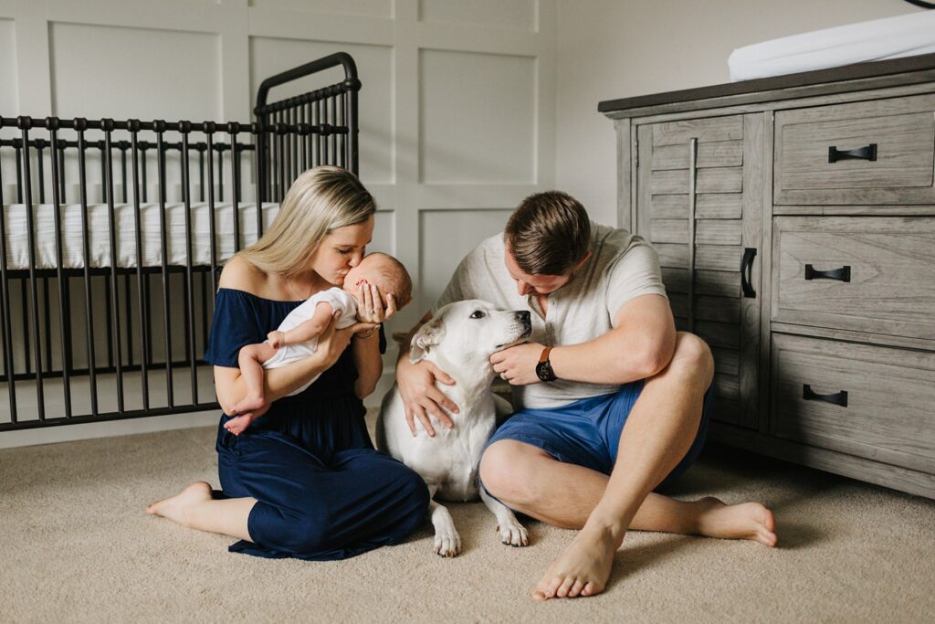 lifestyle newborn photos in palm harbor with dog