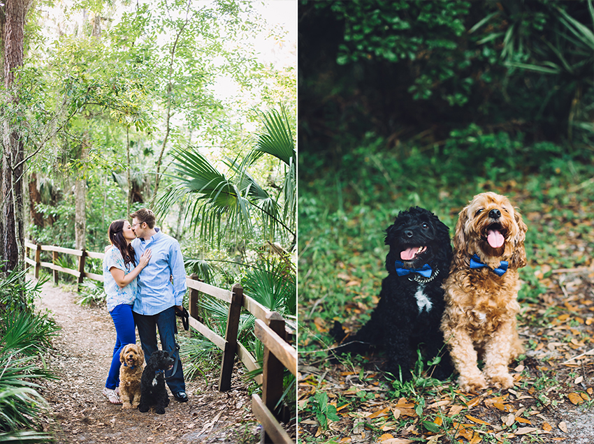 Tampa engagement photography with dogs