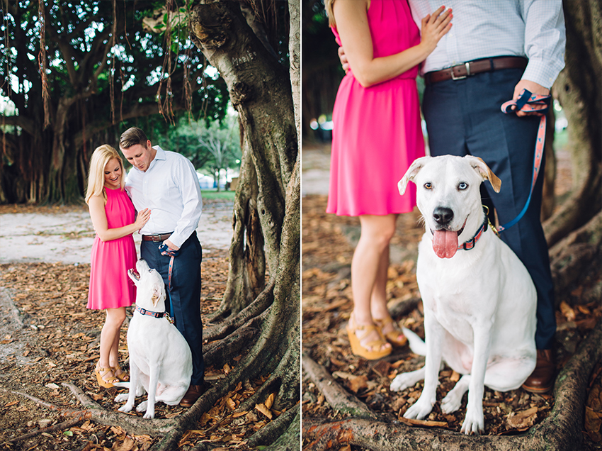 Cute spring engagement session with a dog in St. Pete, Florida