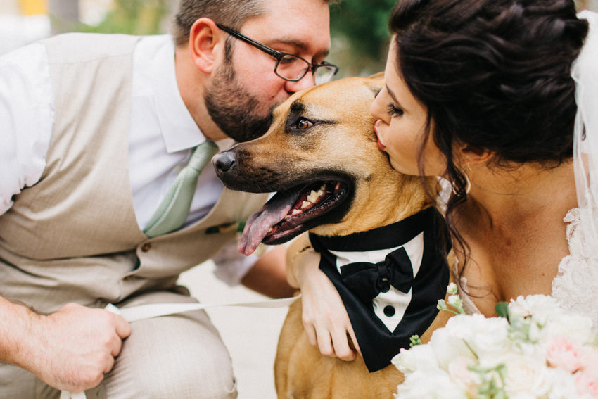 Bride and groom kissing their adorable dog ringbearer