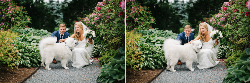 Cute candid wedding photos with a dog
