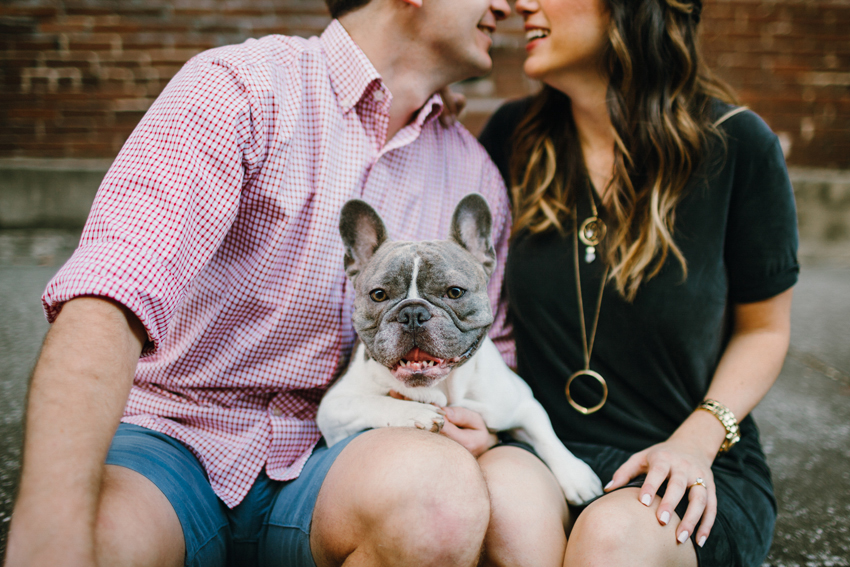 Cute Frenchie puppy at engagement session outside downtown tampa