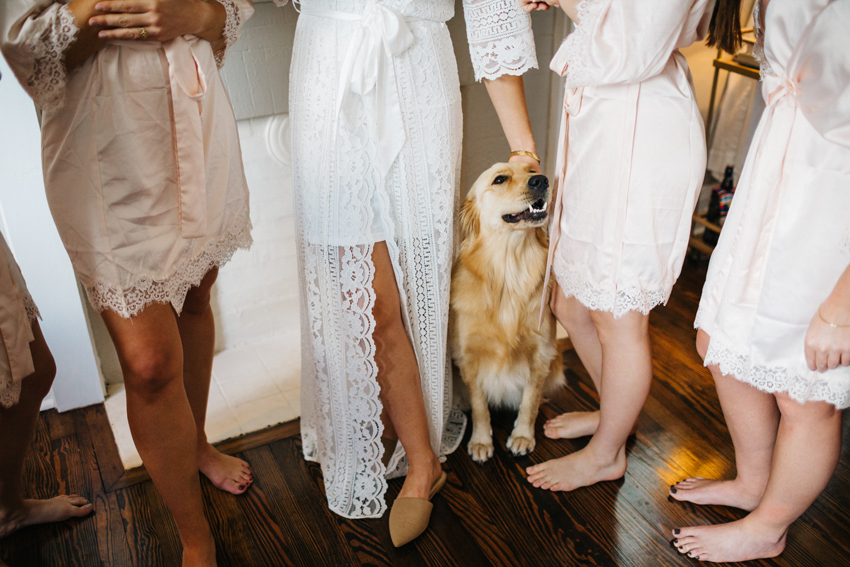 sweet golden retriever puppy getting ready with the bridesmaids