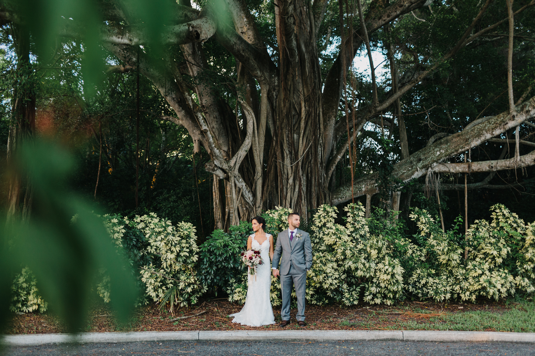Wedding photos under the banyan trees at the historic Powel Crosley Estate