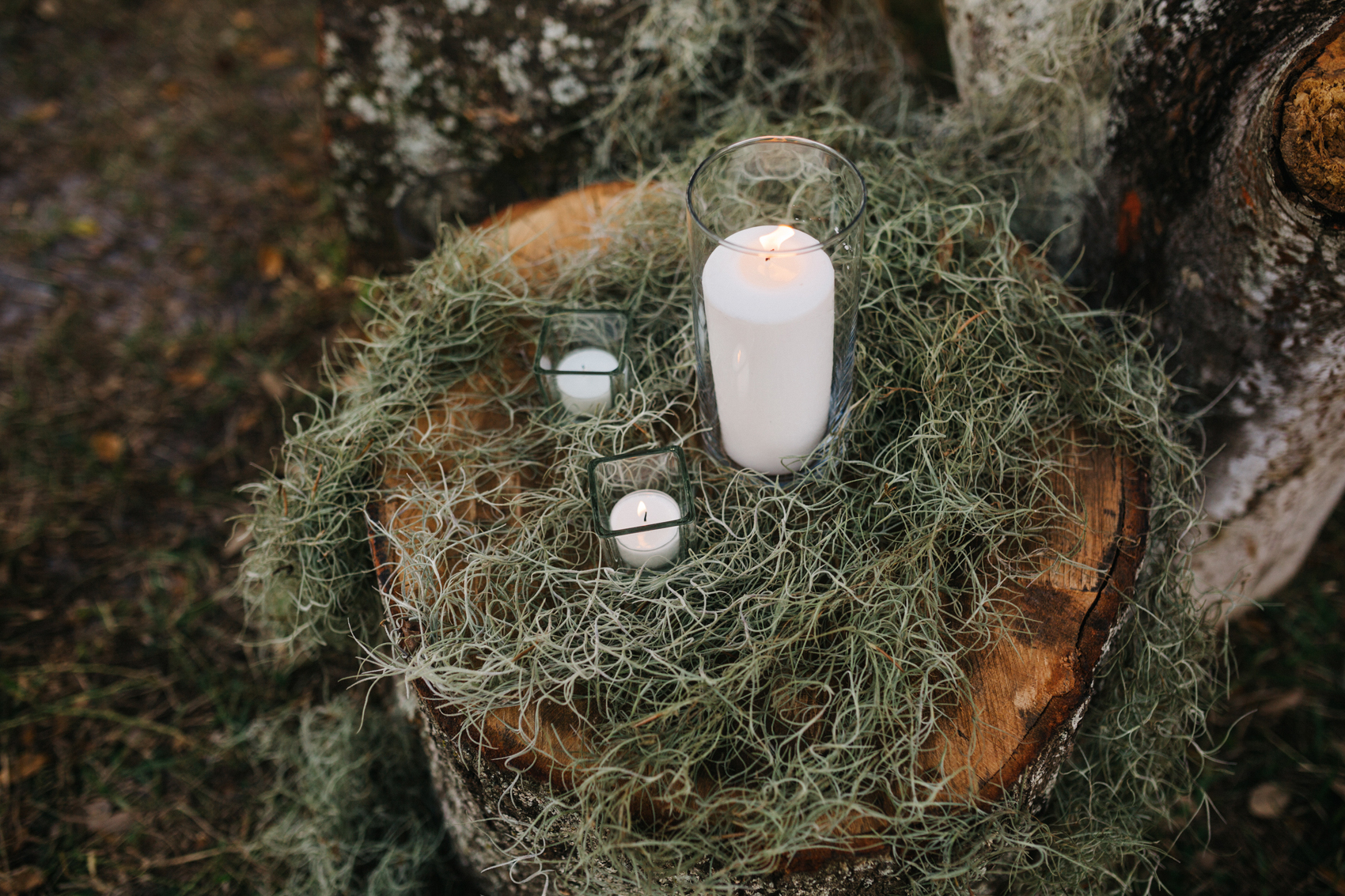 rustic ceremony decor with tree stumps and moss
