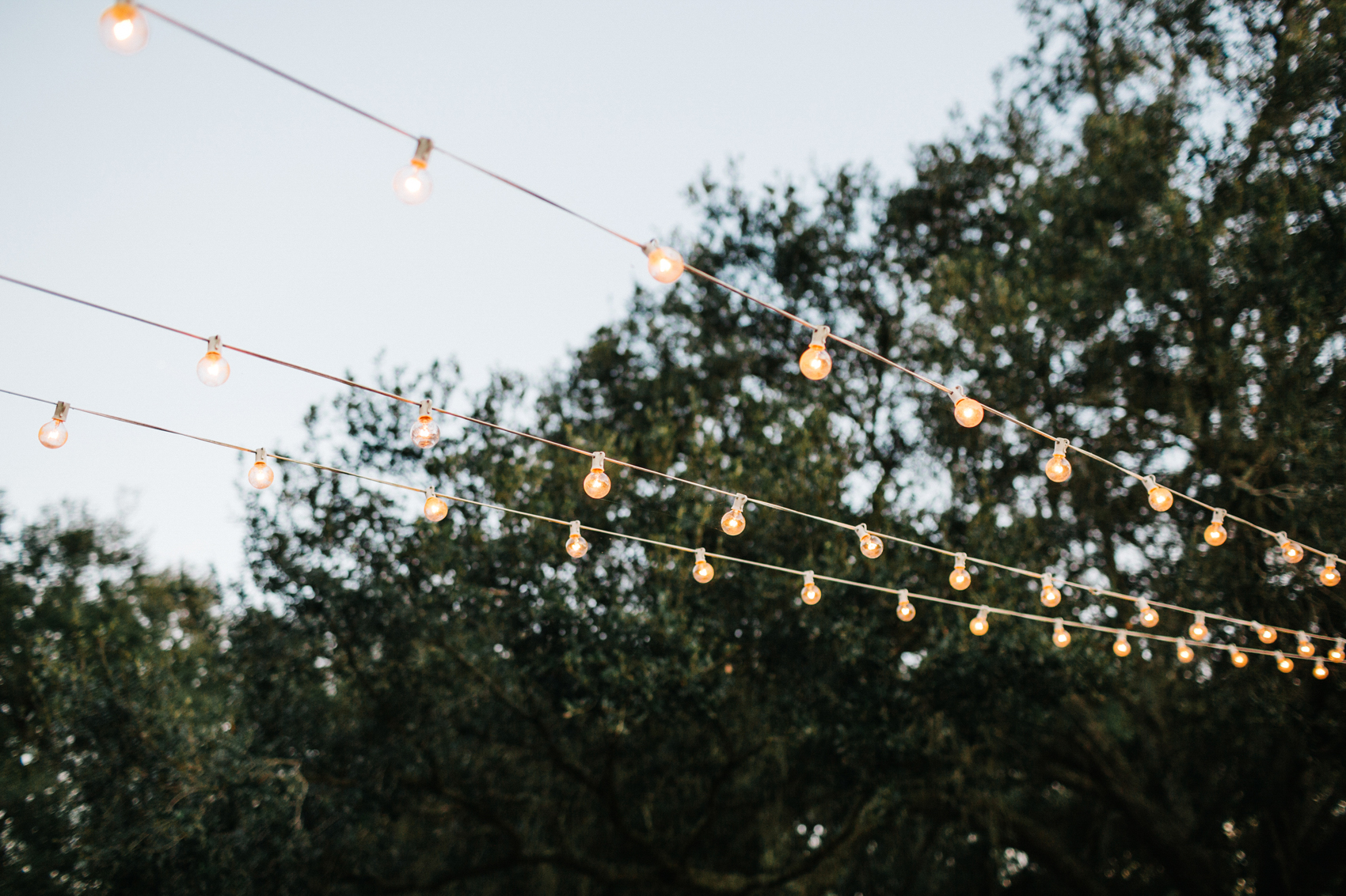 stringlights at an outdoor farm wedding reception