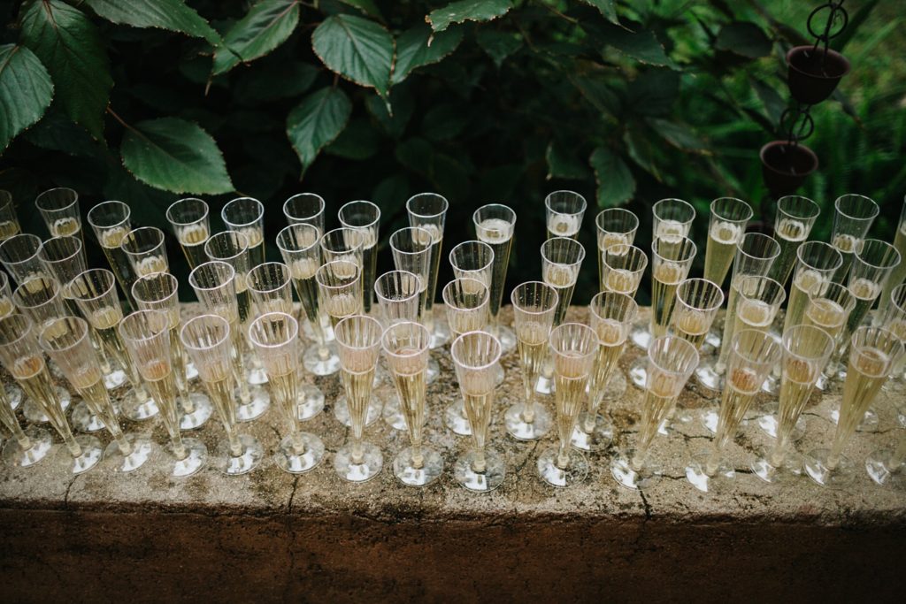 champagen glasses ready for toast